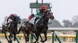 【新馬/東京5R】4番人気ベルウッドクレドがデビューV…1番人気の3億円ホースは3着まで