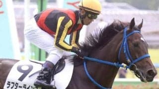 京都芝はディープ系が絶好調 きさらぎ賞はラフターラインズが波乱呼ぶ