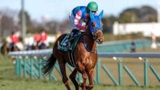 【今日の注目ポイント】雪の影響で小倉のみ開催