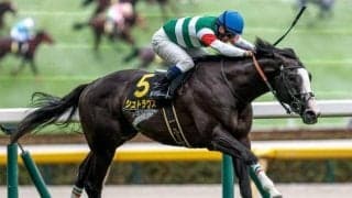 【UAE・アブダビゴールドC】日本のシュトラウスが新設レースの初代王者に輝く！