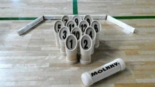 木の棒を投げるスポーツ「モルック」広がるか　指導者育成進む　埼玉