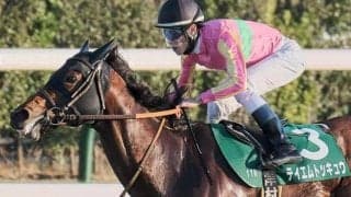 京都ダートは高速決着か 大和Sは最内テイエムトッキュウの逃げ切りだ