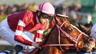 【ネオムターフC】「ウマ娘」藤田晋オーナーのシンエンペラー 連覇でG1初制覇狙う