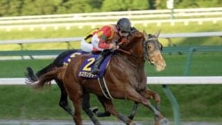 【佐賀記念枠順】好走が続くカズタンジャーは5枠6番