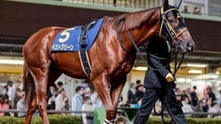 坂井瑠星騎手がサウジで地方馬とタッグ ホッカイドウ競馬史上2頭目の海外重賞制覇へ