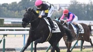【京都5R新馬戦結果】ポエティックフレア産駒のエレガンスアスクが3馬身差圧勝