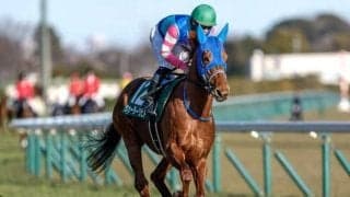 【東京新聞杯・馬体重】ウォーターリヒトは474kg(+2)、ブエナオンダは458kg(+2)