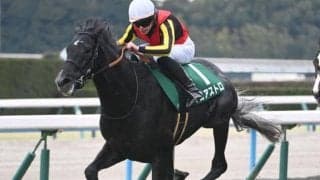 【きさらぎ賞結果】1番人気ゾロアストロが接戦制し重賞初制覇