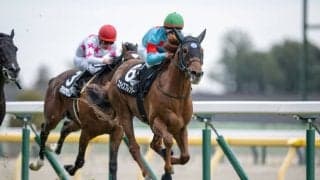 【ゆりかもめ賞】スカイスプレンダーが積極的なレース運びで後続を完封…シルクレーシングのワンツー