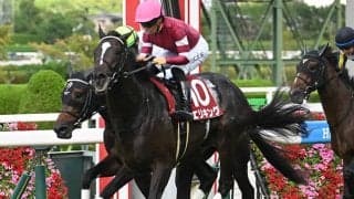 【京都記念】ヘデントール、エリキングらが登録