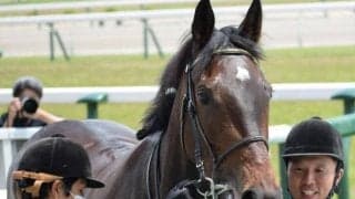 武豊騎手×ゴドルフィンのタッグが10年ぶりの重賞制覇へ 京都記念にホールネスで参戦