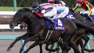 共同通信杯で\"6年連続勝利中\"の条件とは？ 今年該当する2頭に注目