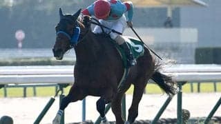 【小倉ジャンプS】ジューンベロシティ、ローディアマントらが登録