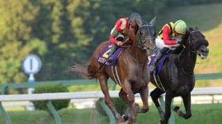 【佐賀記念】カズタンジャーは5枠6番、地方勢はオケマル、ユメノホノオなど好メンバー揃う