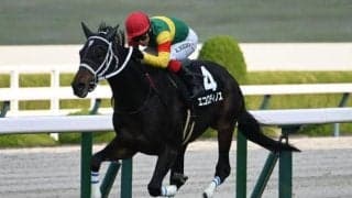 京都記念・共同通信杯など4重賞 WIN5キャリーオーバー/今週の競馬界の見どころ