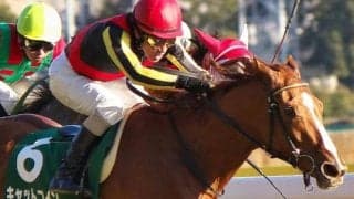 のちの二冠牝馬を抑え無傷3連勝 キャットコインが制した“バレンタイン決戦”の15年クイーンC