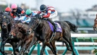 【共同通信杯想定騎手】ロブチェンは松山弘平騎手、リアライズシリウスは津村明秀騎手