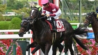 【京都記念想定騎手】エリキングは川田将雅騎手、ヘデントールはC.ルメール騎手