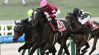 【京都記念見どころ】ハイレベルの4歳馬エリキングが登場
