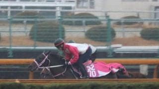 タイセイボーグ、チューリップ賞2週前追い切り速報/栗東トレセンニュース