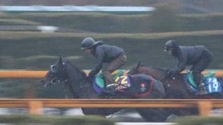 ロードクロンヌ、フェブラリーS1週前追い切り速報/栗東トレセンニュース