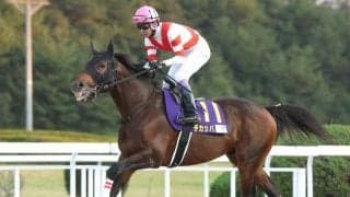 【先週のJRA抹消馬】24年JBCスプリント2着馬のチカッパ、23年の京都HJを制したダイシンクローバーなど