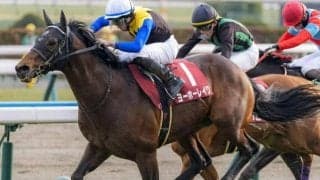 【京都記念】8歳ヨーホーレイク＆9歳バビット レース史上最高齢Vなるか