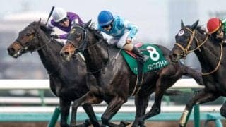 【阪急杯想定】ドロップオブライト、ディアナザールなど16頭