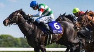【京都記念】天皇賞(春)覇者のヘデントール グレード制導入以降の最長ブランクVなるか