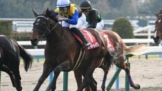 【AI予想・京都記念】非根幹距離で実績を残す馬に分がある一戦！ 京都芝2200mに高い適性を感じる本命候補3頭