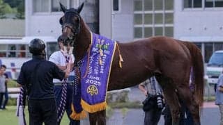 佐賀記念に好メンバー集結 「地方の連対率100％馬」と「中央の現級複勝率100％馬」に注目