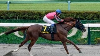 【フェブラリーS出走馬決定順】フルゲート16頭に対して22頭登録 今年からレーティング上位の優先出走枠が10頭に拡大