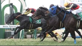 【きさらぎ賞】ゴール前の大激戦！ゾロアストロが混戦から抜け出す