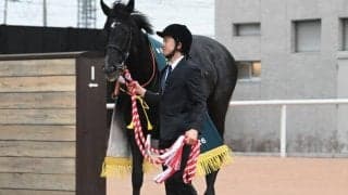 ゾロアストロがきさらぎ賞V 「モーリス×ディープ」は活躍馬出すニックス