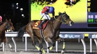 【クイーン賞】テンカジョウが交流重賞4勝目…2着は大井マーブルマウンテン
