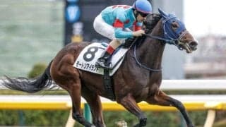 【クイーンC展望】前走1番人気馬の信頼度絶大 モートンアイランドが主役