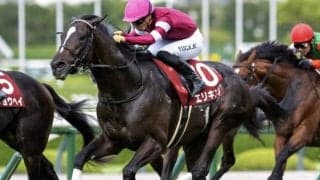 【京都記念展望】4歳世代のエリキングが中心 前走先行したエコロディノスにも好機