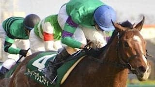 のちの皐月賞馬ディーマジェスティが制した共同通信杯を振り返る