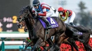 【共同通信杯展望】距離短縮組の好走データが後押し GI馬ロブチェンが重賞連勝へ