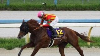 【佐賀記念注目馬】今年のダート中距離を占う一戦 中央・地方ともに実力馬が集う