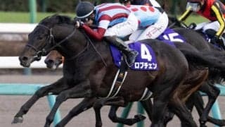 【共同通信杯】ホープフルS覇者のロブチェン ナリタブライアン以来32年ぶりGI勝ち馬の戴冠なるか