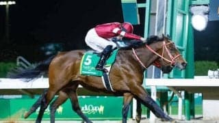 【サウジC枠順】日本馬3頭出走 連覇狙うフォーエバーヤングは6番ゲート