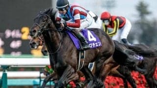 【共同通信杯出走馬・騎手確定】ロブチェン＆松山弘平騎手、リアライズシリウス＆津村明秀騎手など9頭