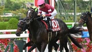 【京都記念出走馬・騎手確定】エリキング＆川田将雅騎手、ヘデントール＆C.ルメール騎手など12頭