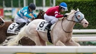 「ウマ娘」藤田晋オーナーのセレクト1.9億円馬 白毛のスーホが初勝利なるか