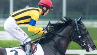 半兄はジャンタルマンタル ウンナターシャが初勝利なるか