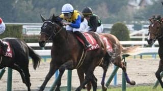 【京都記念予想】AIの注目馬はチャンス十分の8歳馬 大敗直後でも狙いたい強調材料とは