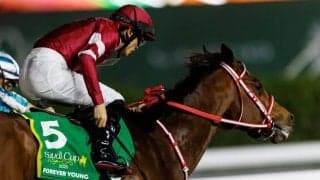 フォーエバーヤングらJRA勢が現地調整…サウジカップへ順調な仕上がり