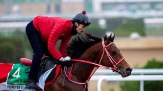 フォーエバーヤング好仕上がり…サウジカップへ日本勢が順調