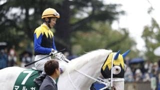 武豊騎手 今週の騎乗馬…クイーンカップに白毛馬マルガと参戦